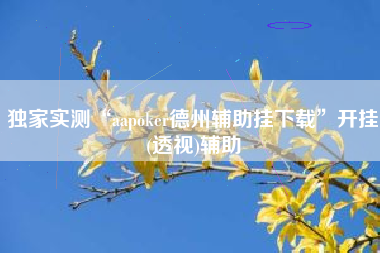 独家实测“aapoker德州辅助挂下载”开挂(透视)辅助