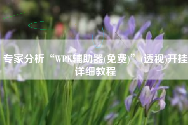 专家分析“WPK辅助器(免费)”(透视)开挂详细教程