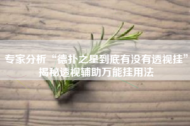 专家分析“德扑之星到底有没有透视挂”揭秘透视辅助万能挂用法