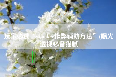 玩家必读“wepoker作弊辅助方法”(曝光透视必备猫腻