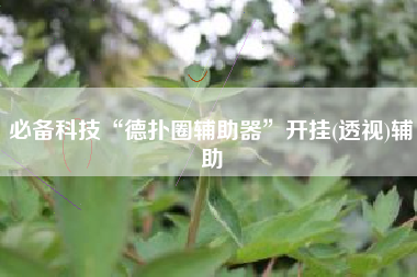 必备科技“德扑圈辅助器”开挂(透视)辅助