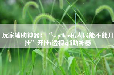 玩家辅助神器：“wepoker私人局能不能开挂”开挂(透视)辅助神器