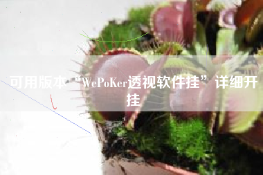 可用版本“WePoKer透视软件挂	”详细开挂