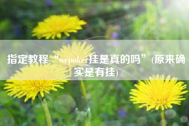 指定教程“wepoker挂是真的吗	”(原来确实是有挂)