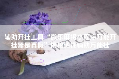 辅助开挂工具“微乐麻将小程序万能开挂器是真假”揭秘透视辅助万能挂