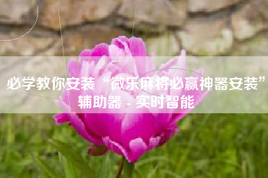 必学教你安装“微乐麻将必赢神器安装	”辅助器 - 实时智能