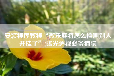 安装程序教程“微乐麻将怎么检测别人开挂了”(曝光透视必备猫腻