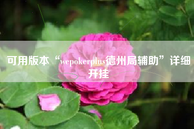可用版本“wepokerplus德州局辅助”详细开挂