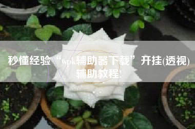 秒懂经验“wpk辅助器下载	”开挂(透视)辅助教程!