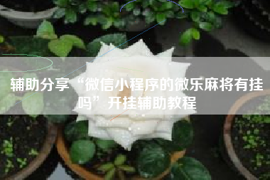 辅助分享“微信小程序的微乐麻将有挂吗”开挂辅助教程