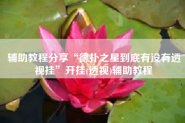 辅助教程分享“德扑之星到底有没有透视挂”开挂(透视)辅助教程