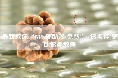 最新教你“WPK辅助器(免费)	”(透视挂)辅助透视教程