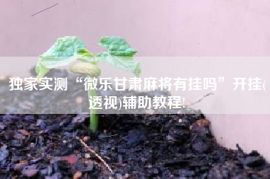 独家实测“微乐甘肃麻将有挂吗”开挂(透视)辅助教程!