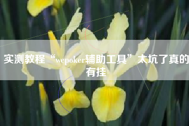 实测教程“wepoker辅助工具”太坑了真的有挂