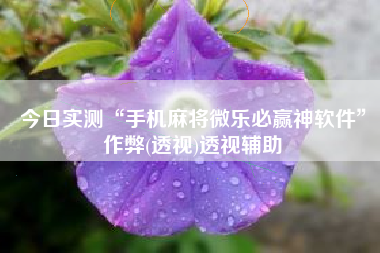 今日实测“手机麻将微乐必赢神软件”作弊(透视)透视辅助