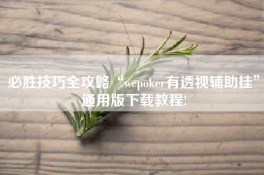必胜技巧全攻略“wepoker有透视辅助挂”通用版下载教程!