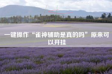 一键操作“雀神辅助是真的吗”原来可以开挂