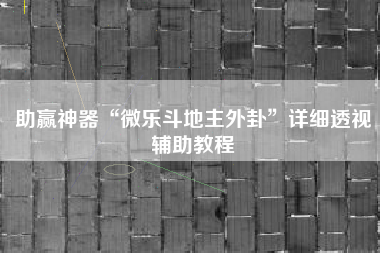 助赢神器“微乐斗地主外卦”详细透视辅助教程