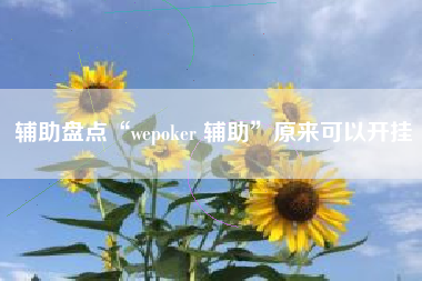 辅助盘点“wepoker 辅助	”原来可以开挂