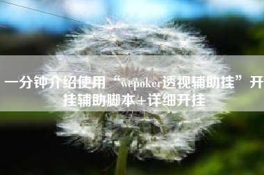 一分钟介绍使用“wepoker透视辅助挂”开挂辅助脚本+详细开挂