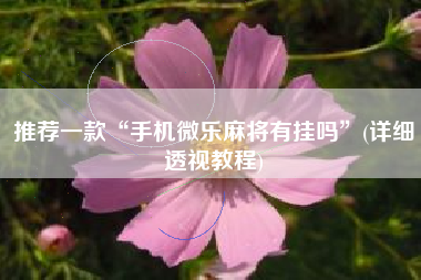 推荐一款“手机微乐麻将有挂吗”(详细透视教程)