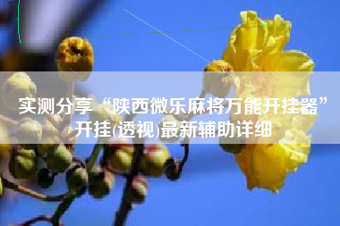 实测分享“陕西微乐麻将万能开挂器	”开挂(透视)最新辅助详细