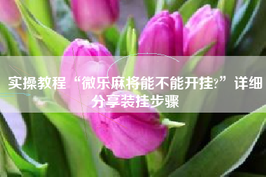 实操教程“微乐麻将能不能开挂?”详细分享装挂步骤