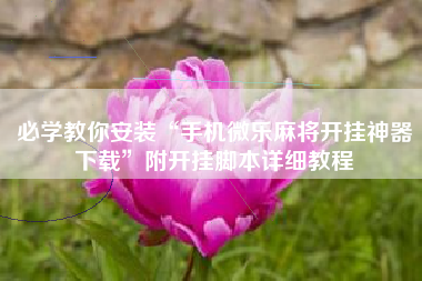 必学教你安装“手机微乐麻将开挂神器下载”附开挂脚本详细教程