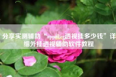 分享实测辅助“appoker透视挂多少钱	”详细外挂透视辅助软件教程