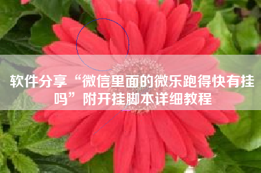 软件分享“微信里面的微乐跑得快有挂吗”附开挂脚本详细教程