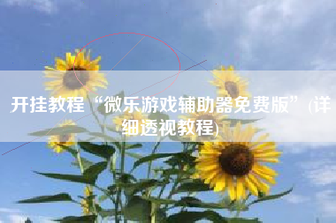 开挂教程“微乐游戏辅助器免费版	”(详细透视教程)