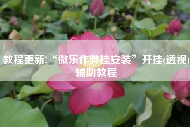 教程更新!“微乐作弊挂安装”开挂(透视)辅助教程