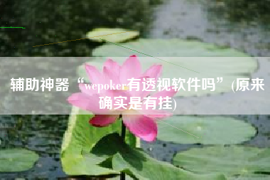 辅助神器“wepoker有透视软件吗”(原来确实是有挂)