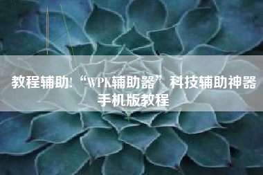 教程辅助!“WPK辅助器”科技辅助神器手机版教程