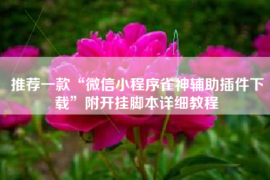 推荐一款“微信小程序雀神辅助插件下载”附开挂脚本详细教程