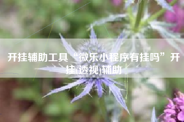 开挂辅助工具“微乐小程序有挂吗”开挂(透视)辅助