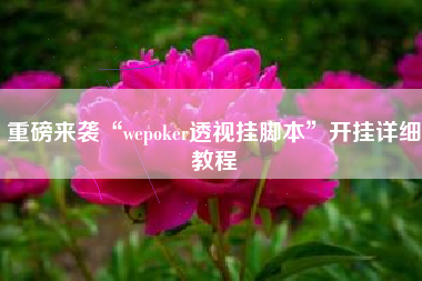 重磅来袭“wepoker透视挂脚本”开挂详细教程