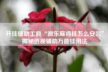 开挂辅助工具“微乐麻将挂怎么安装”揭秘透视辅助万能挂用法