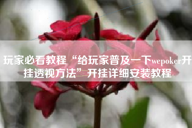 玩家必看教程“给玩家普及一下wepoker开挂透视方法”开挂详细安装教程