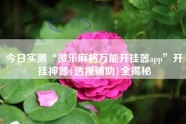 今日实测“微乐麻将万能开挂器app	”开挂神器{透视辅助}全揭秘