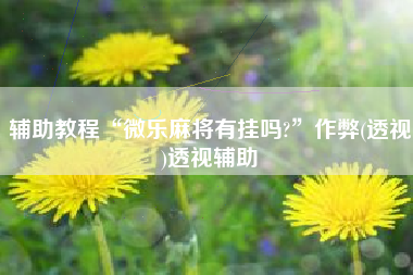 辅助教程“微乐麻将有挂吗?	”作弊(透视)透视辅助