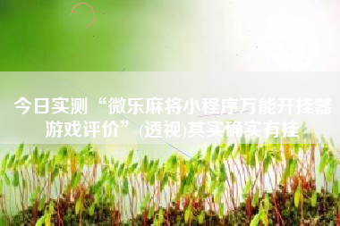 今日实测“微乐麻将小程序万能开挂器游戏评价	”(透视)其实确实有挂