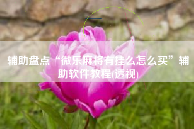 辅助盘点“微乐麻将有挂么怎么买”辅助软件教程(透视)