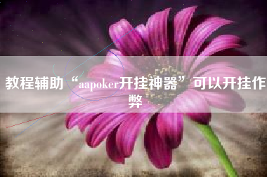 教程辅助“aapoker开挂神器”可以开挂作弊