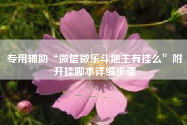 专用辅助“微信微乐斗地主有挂么	”附开挂脚本详细步骤