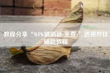 教程分享“WPK辅助器(免费)	”透视开挂辅助教程