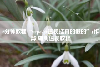 3分钟教程“wepoker透视挂真的假的”(作弊)辅助透视教程