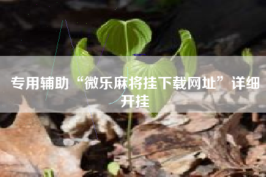 专用辅助“微乐麻将挂下载网址”详细开挂