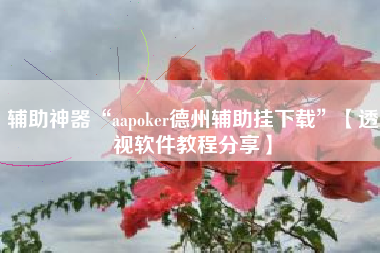 辅助神器“aapoker德州辅助挂下载”【透视软件教程分享】