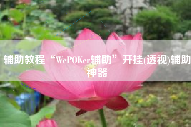 辅助教程“WePOKer辅助	”开挂(透视)辅助神器